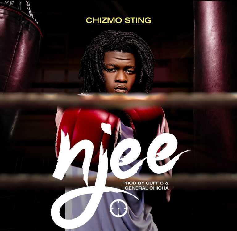 Njee Prod By Cuff B General Chicha | Chizmo Sting | dancehall |  XaMuzik